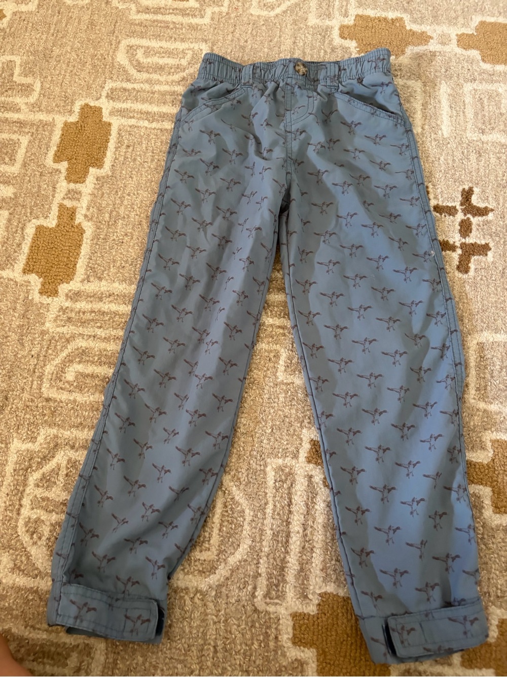 Properly tied Blue Patterned  Pants